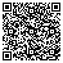 Qr Code qr_art-instructions-german.png for this dice