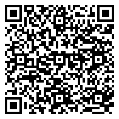 Qr Code qr_critical-skills-activities.png for this dice