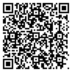 Qr Code qr_fleet-the-dice-game-town-.png for this dice