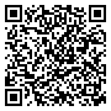 Qr Code qr_have-some-fun-.png for this dice